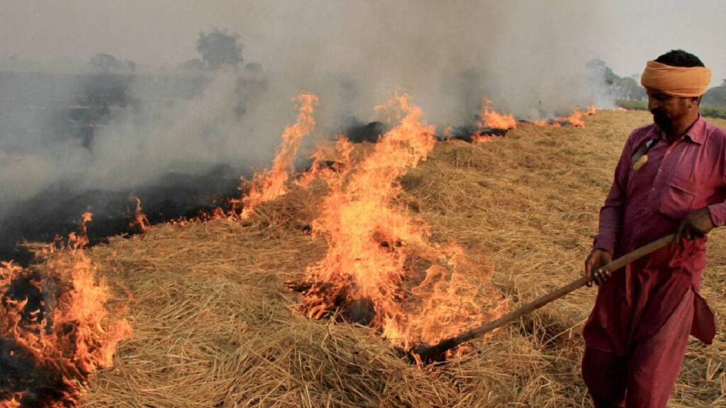 Punjab Stubble burning incidents