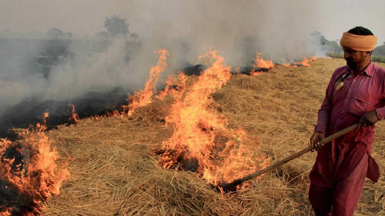 Low Cost Stubble Management Modern Machines Convert Crop Residue Into Organic Fertiliser Indian Farmers