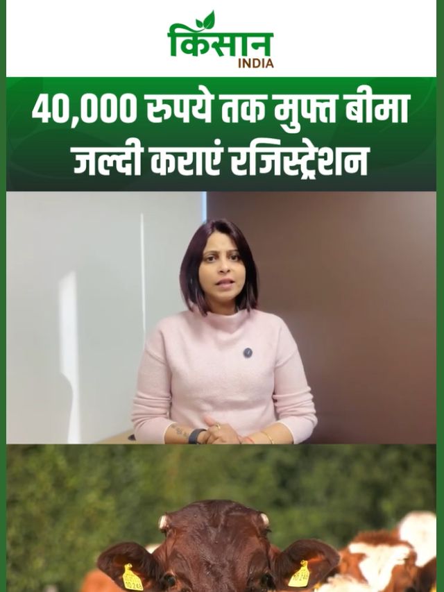 Mangla Pashu Bima Yojana: पशुओं का बीमा 40,000 रुपये तक कराएं पशुपालक, रजिस्ट्रेशन शुरू