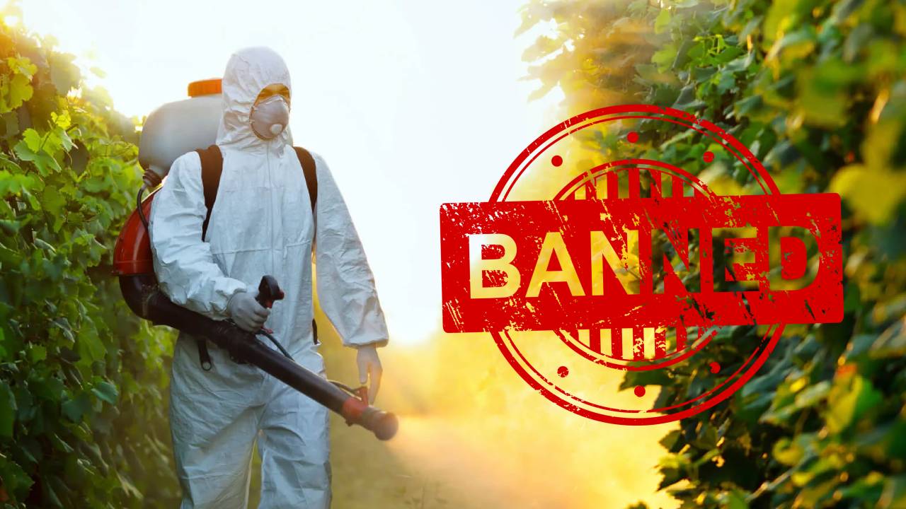 Saudi Arabia Tightens Rules On Banned Pesticides With Jail Terms And Heavy Fines India Also Enforces Strict Laws