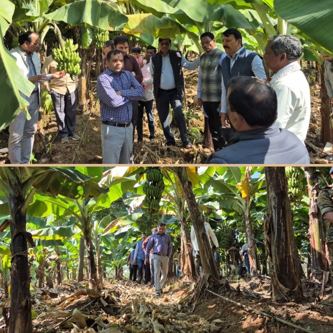 puranpal champion kisan Madhya pradesh 