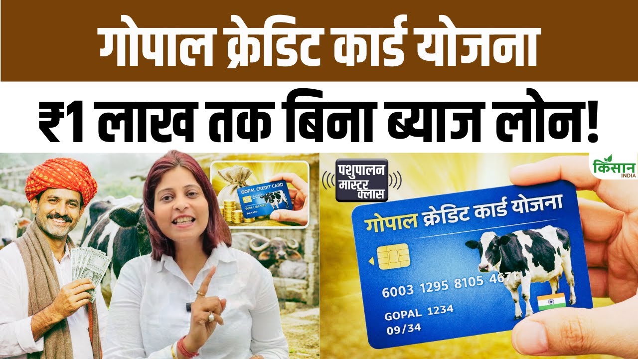 Gopal Credit Card Yojana: पशुपालकों को 1 लाख रुपये तक बिना ब्याज लोन, पात्रता और आवेदन प्रक्रिया जानिए
