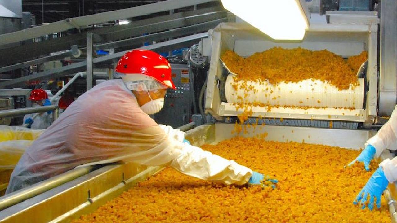 सांगली में खुलेगा किशमिश रिसर्च सेंटर, किसानों को मिलेंगे ये बड़े फायदे