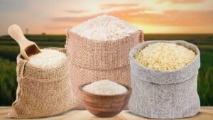 भारत दुनिया का सबसे बड़ा चावल उत्पादक देश बना, अनाजों से भर गए हैं देश के गोदाम