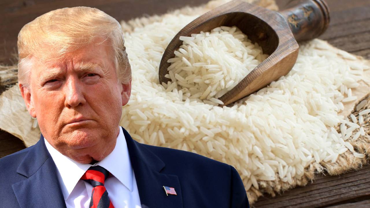 Us Additional Tariffs Indian Rice Minimal Impact Global Trade Analysis Why America Targeting Indias Competitive Rice Exports Farmers Subsidy Crisis