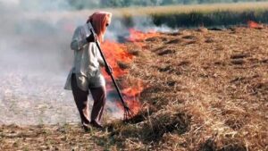किसान सैटेलाइट को दे रहे चकमा, इस तरह जला रहे पराली कि यंत्र भी नहीं पकड़ पा रही चोरी किसान सैटेलाइट को दे रहे चकमा, इस तरह जला रहे पराली कि यंत्र भी नहीं पकड़ पा रही चोरी