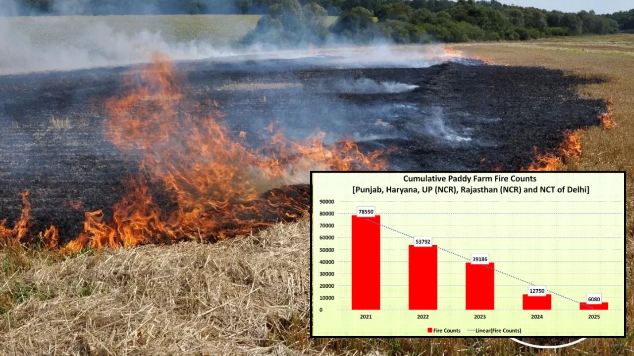 Farmers Did Not Burn Stubble Cases Decreased By 93 In Government Data Farmers Said Now Tell Who Responsible For Delhi Pollution