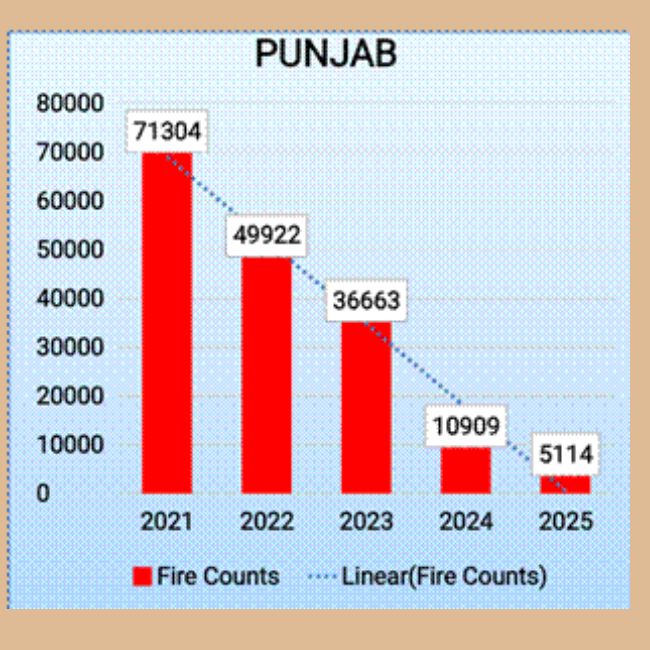stubble burning cases punjab 2025