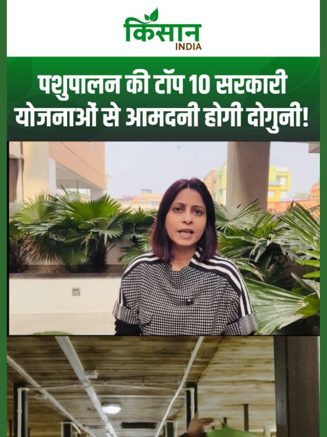 पशुपालन से बदलेगी किसान की किस्मत! जानिए 10 सरकारी योजनाओं का पूरा फायदा