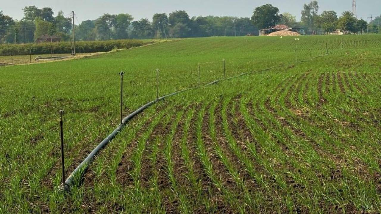 Government Issued A Crop Calendar Promising Bumper Yields At Lower Costs