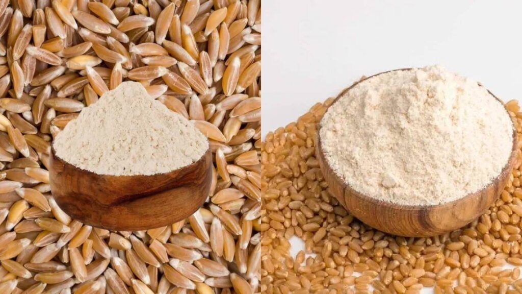 Khapli vs Sharbati Atta: Understanding the Real Difference and Choosing the Healthier Flour for Your Daily Rotis