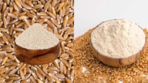 खापली या शरबती…रोटी के लिए कौन-सा आटा बेहतर? जानें पोषण, स्वाद और फायदे