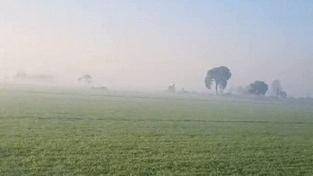 Punjab Agriculture News