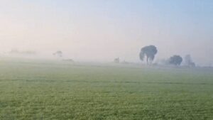 पंजाब में घट गई 12,000 हेक्टेयर कृषि भूमि, पर हरियाणा ने लगाई जबरदस्त छलांग.. ये रहे आंकड़े