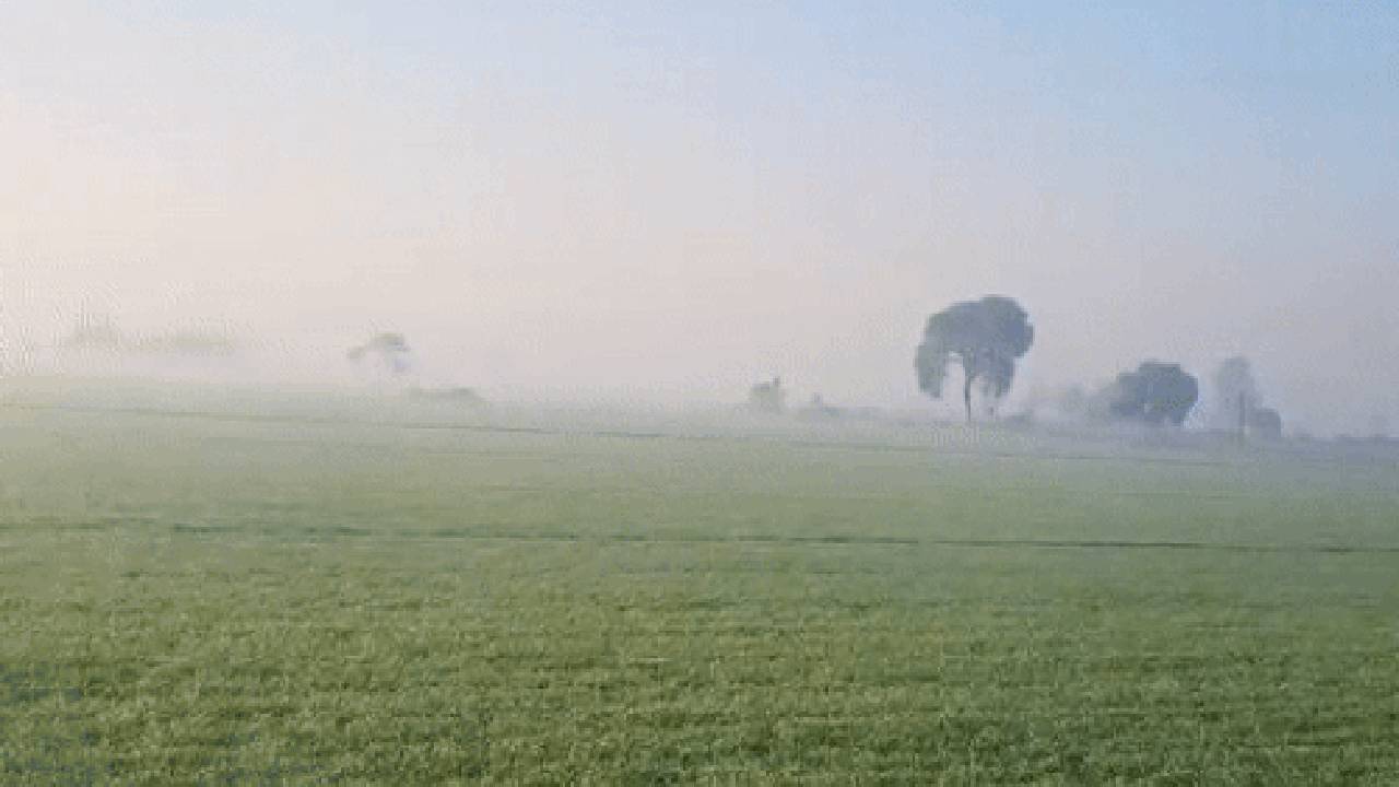 Punjab Lost 12000 Hectares Of Agricultural Land Agriculture News Hindi