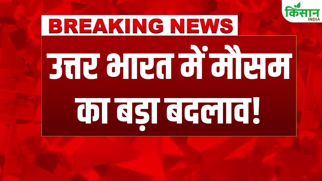 Weather Change In Next 24 Hours Fog Cold Wave And Rain Impact Life In Several States