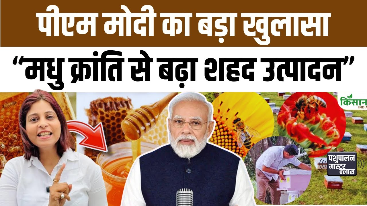 New Record Honey Production Pm Modi Mann Ki Baat Big Message Government On Increasing Farmers Income