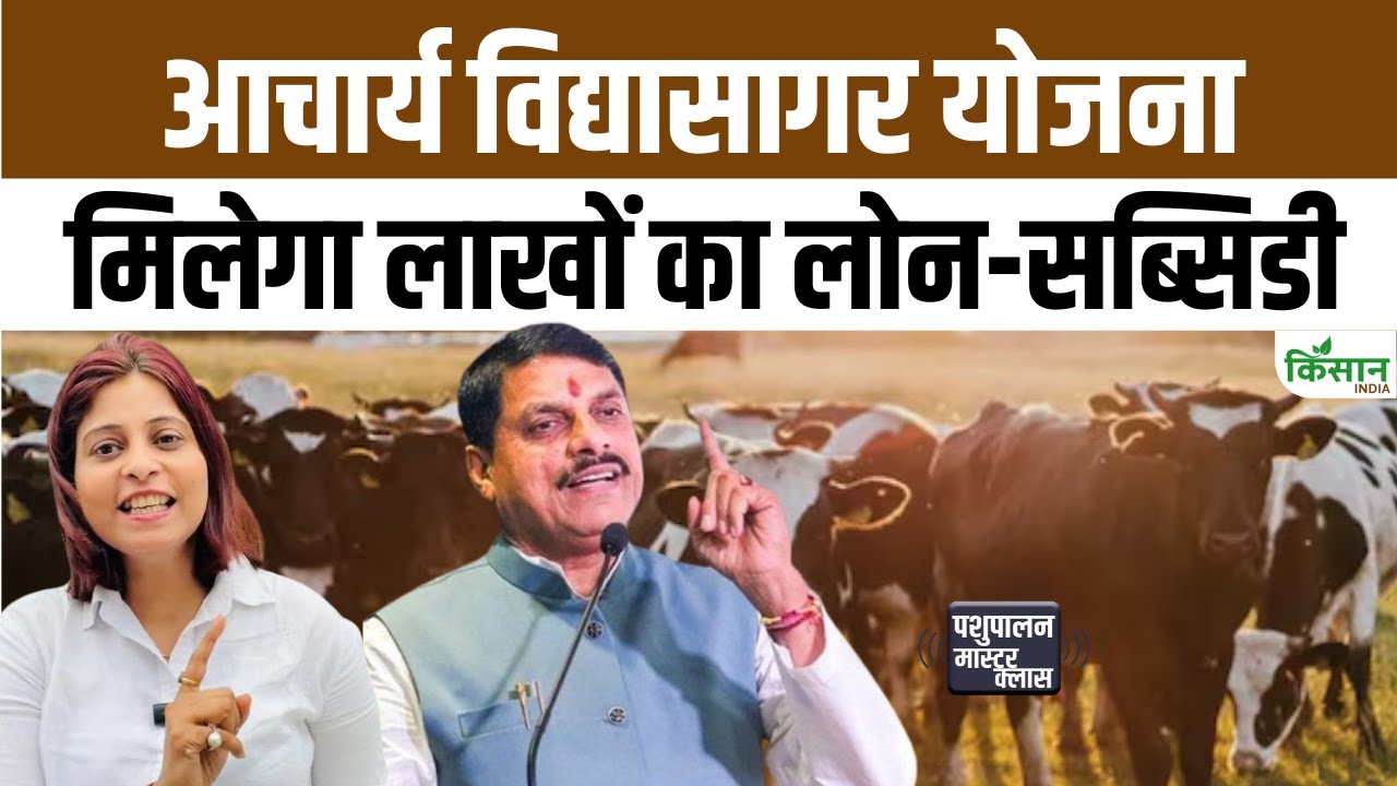 Opportunity Become Millionaire Through Animal Husbandry Government Offering Loans And Subsidies Worth Lakhs Under This Special Scheme