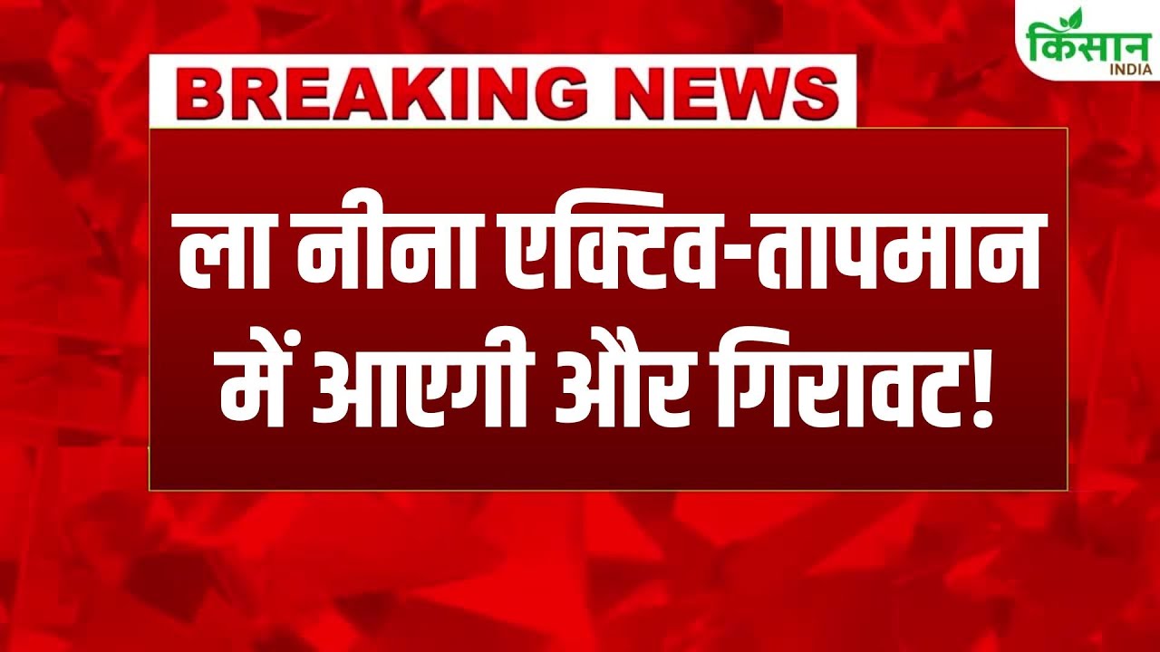 Imd Issues New Alert Heavy Rain Forecast Kerala And South India Urging People Exercise Caution