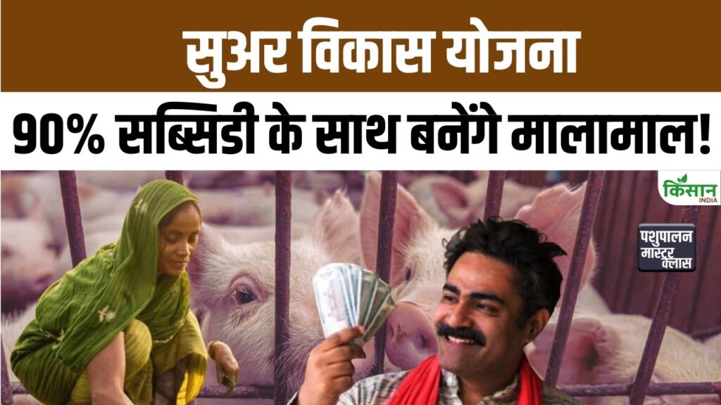 Pig Development Scheme