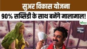 Pig Farming Scheme में किसानों को 90 फीसदी सब्सिडी, सुअर पालन से हर माह लाखों कमाई का मौका