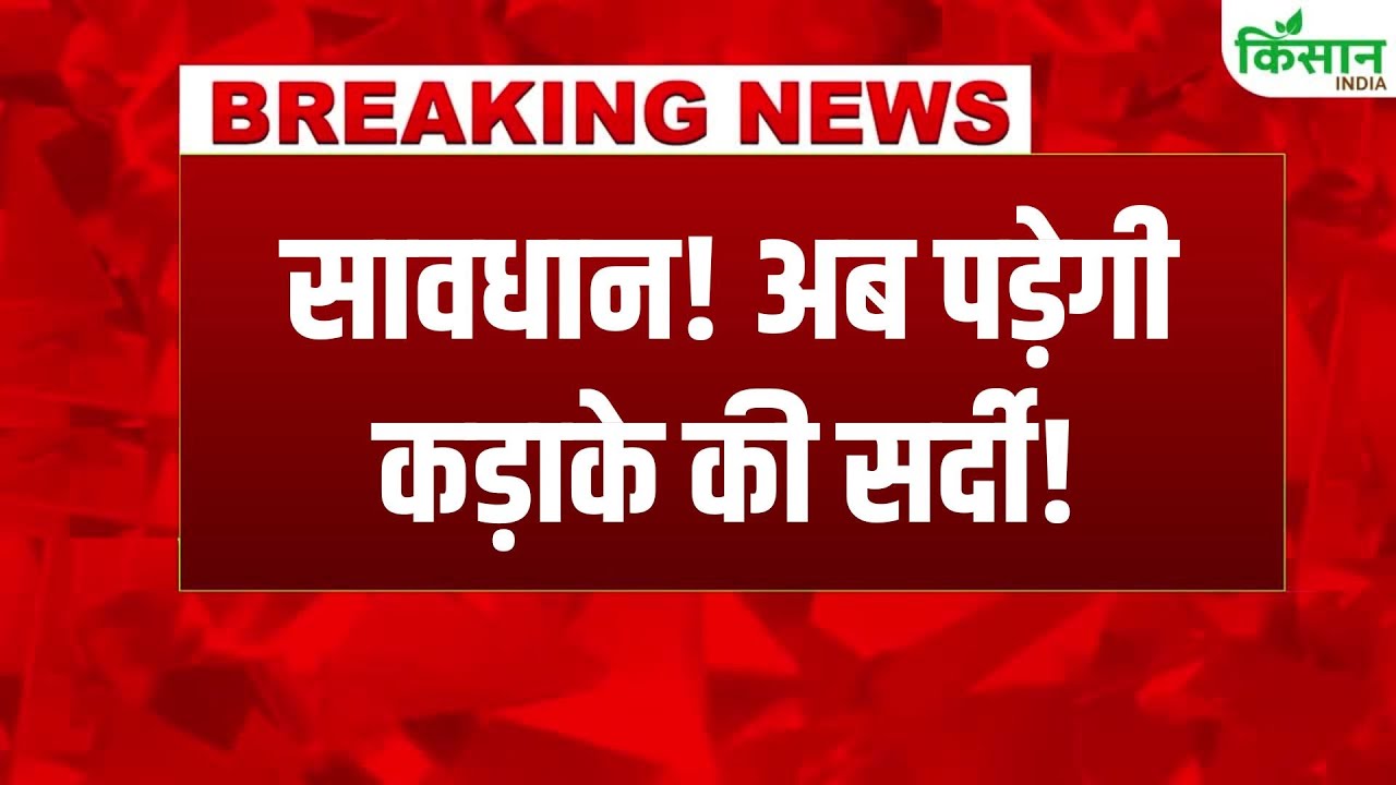 IMD का बड़ा अलर्ट 21-22 दिसंबर को दिल्ली NCR में हाड़ कंपाने वाली सर्दी पड़ेगी.. रहें सावधान