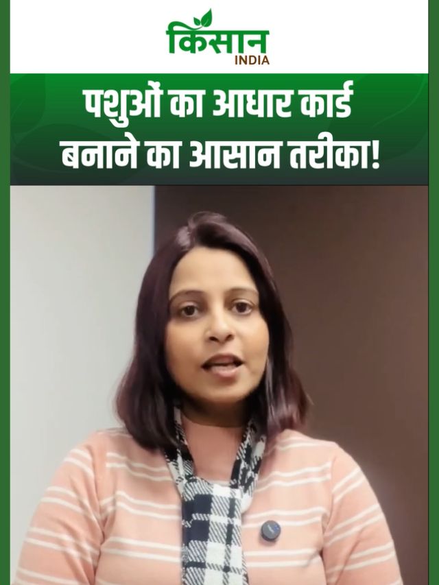 Pashu Aadhaar Yojana क्या है? जानें मिनटों में अपने पशुओं का डिजिटल पंजीकरण कैसे करें