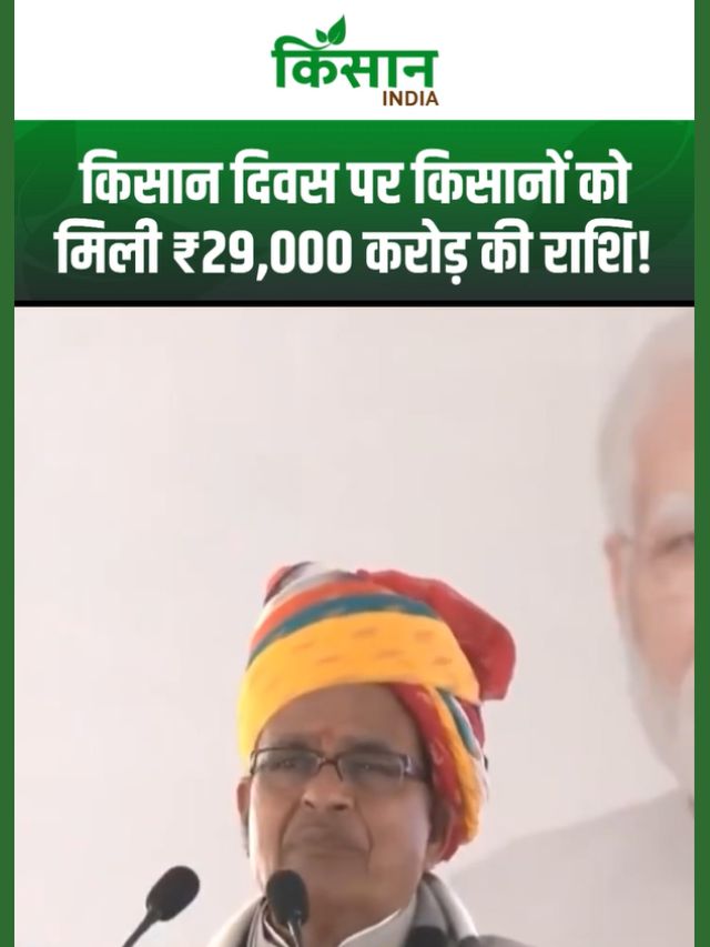 शिवराज सिंह का बड़ा तोहफा, राजस्थान के किसानों को लगभग ₹29,000 करोड़ की राशि मिली