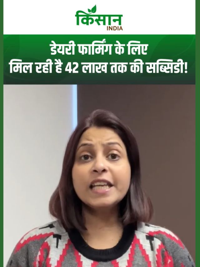 Dr. Ambedkar Kamdhenu Yojana: डेयरी फार्मिंग के लिए सरकार दे रही 42 लाख रुपए तक की सब्सिडी