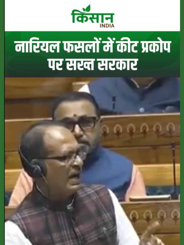 नारियल फसलों में कीट प्रकोप पर शिवराज सिंह चौहान बोले- नुकसान होगा तो कंपनी देगी मुआवजा