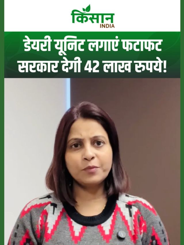 Kamdhenu Yojana: डेयरी यूनिट लगाएं जल्दी, सरकार दे रही है इतने लाख रुपये