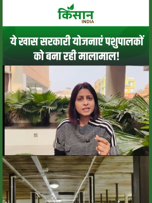 पशुपालकों को मालामाल बना रही हैं ये Top 10 सरकारी योजनाएं, किसानों का हो रहा डबल फायदा