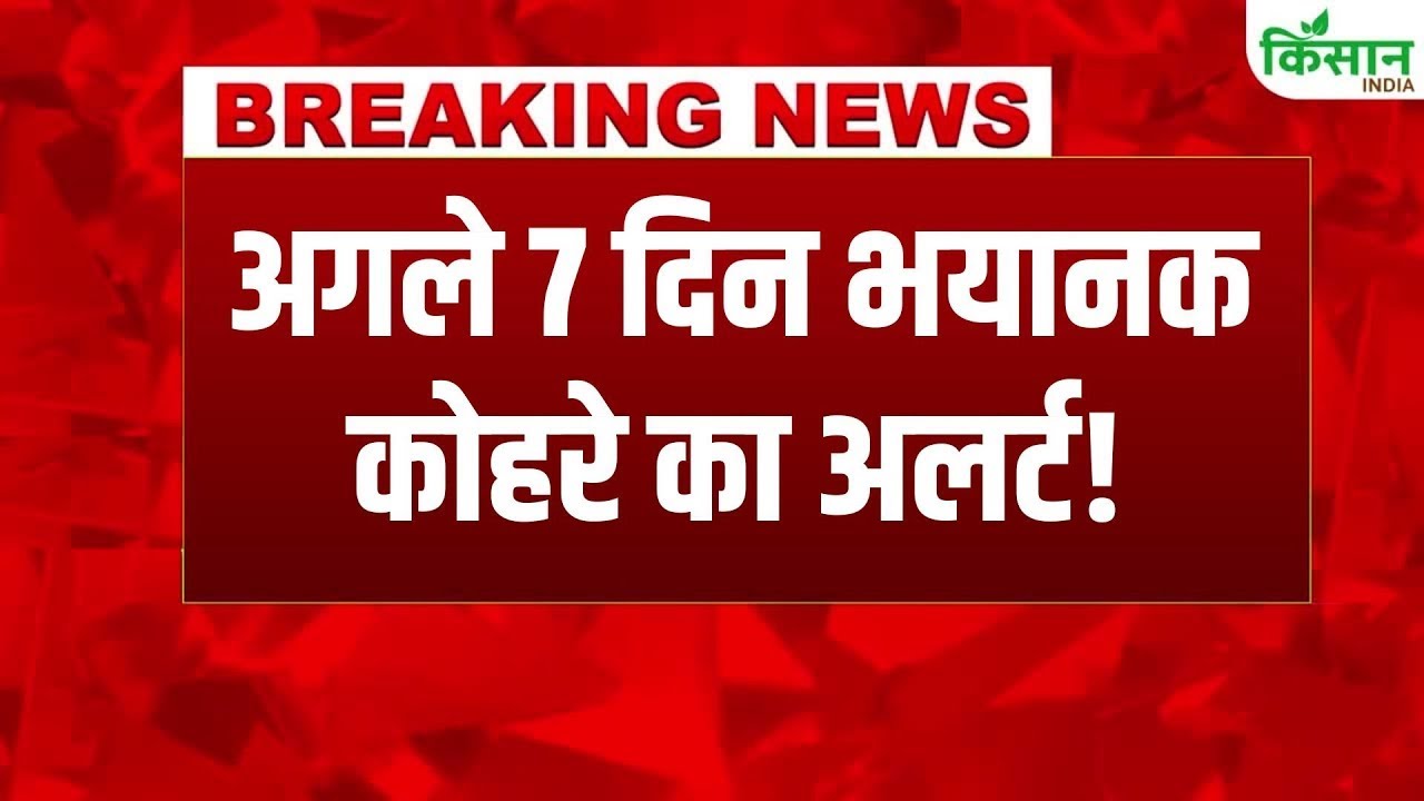 IMD Alert: अगले सात दिन उत्तर भारत में घना कोहरा, शीतलहर और हल्की से मध्यम बारिश संभव