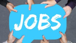 बिहार कृषि विभाग में बंपर भर्ती को मंजूरी मिली, पौधा संरक्षण के लिए 694 पदों पर नियुक्तियां होंगी बिहार कृषि विभाग में बंपर भर्ती को मंजूरी मिली, पौधा संरक्षण के लिए 694 पदों पर नियुक्तियां होंगी