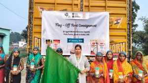 बिहार का मखाना पहुंचा दुबई… पहली बार समुद्री रास्ते से हुआ ऐतिहासिक निर्यात, किसानों की चमकी किस्मत!