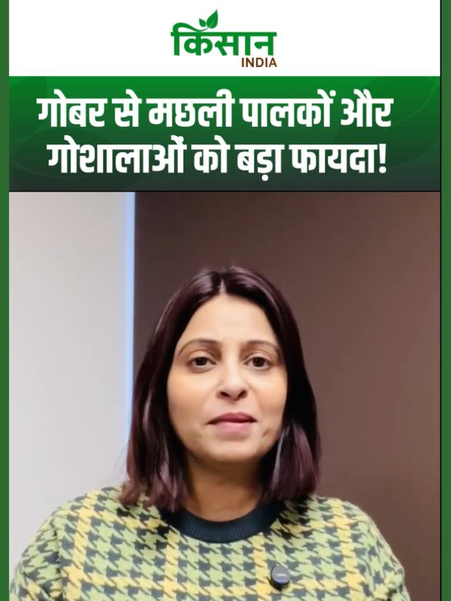 गोबर से बढ़ेगा मछलियों का वजन, मछली पालकों और गोशालाओं को बड़ा फायदा, नई सरकारी योजना