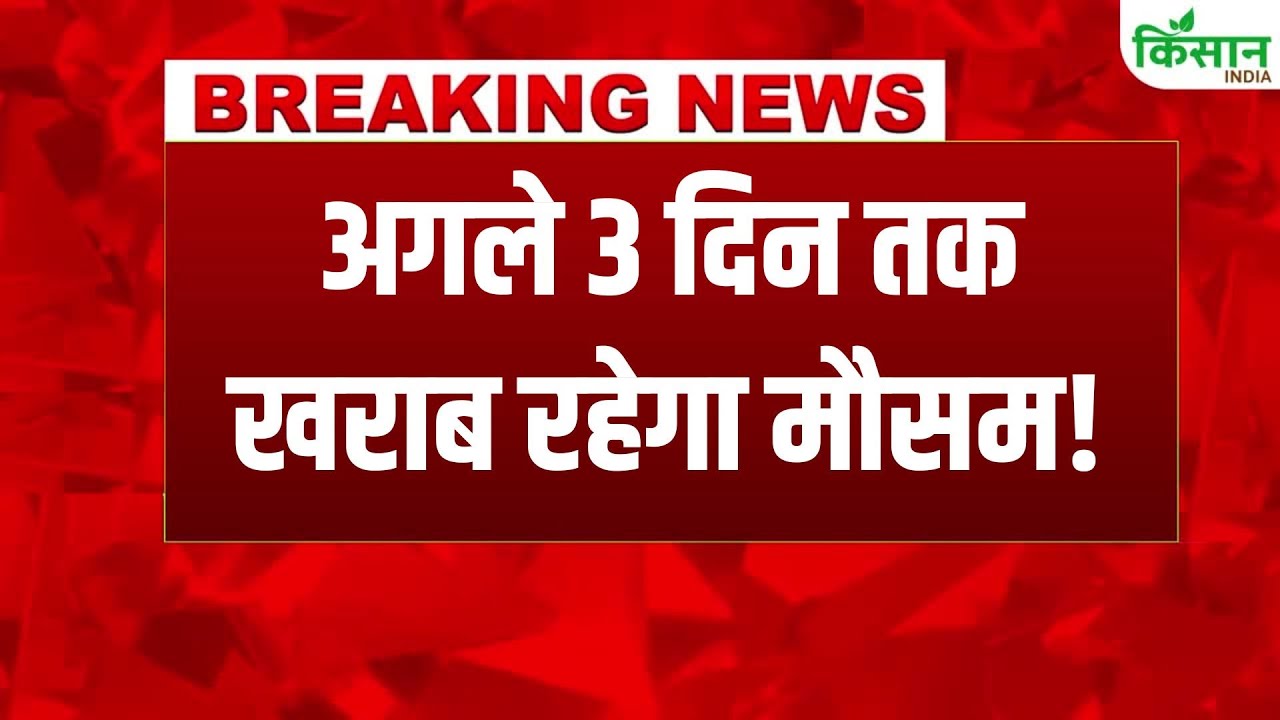 Weather Changed And Imd Issued Major Alert Warning That Rain And Snowfall Worsen Situation For Next Three Days