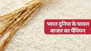 यूरोपीय डील से घरेलू धान किसानों की झोली भरेगी, चावल निर्यात 300 लाख टन के पार जाएगा!