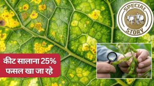 फसलों में बीमारी होने से पहले किसानों को पता चल जाएगा, कृषि मंत्रालय की नई टेक्नोलॉजी लाएगी क्रांति