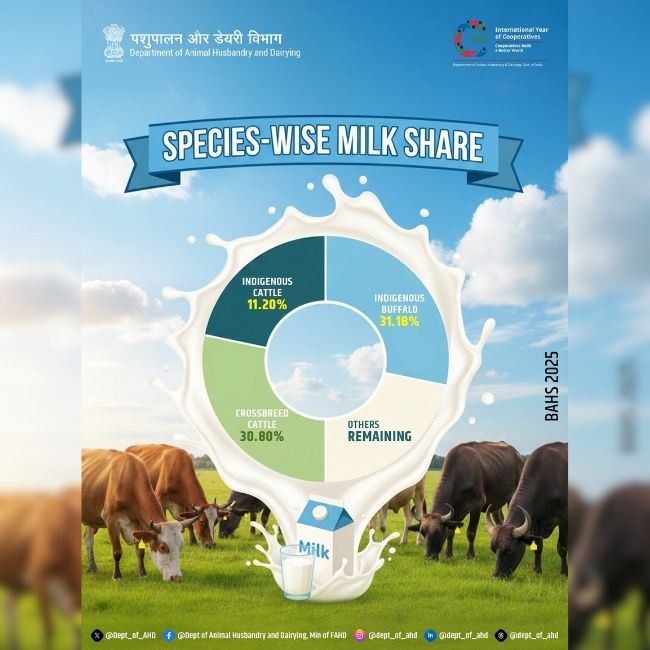 India Milk Production, Dairy Sector, Buffalo Milk, Crossbred Cattle, Indigenous Cattle