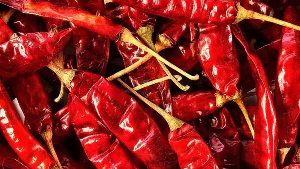 Guntur chilli (आंध्र प्रदेश): गुंटूर मिर्च तेज खुशबू वाली और मीडियम-हॉट स्वाद वाली मिर्च है. यह आंध्र प्रदेश के करी, अचार और चटनी का मुख्य हिस्सा है. बड़े पैमाने पर एक्सपोर्ट होने वाली यह मिर्च आंध्र के तीखे खाने के शौकीनों की पसंद है.