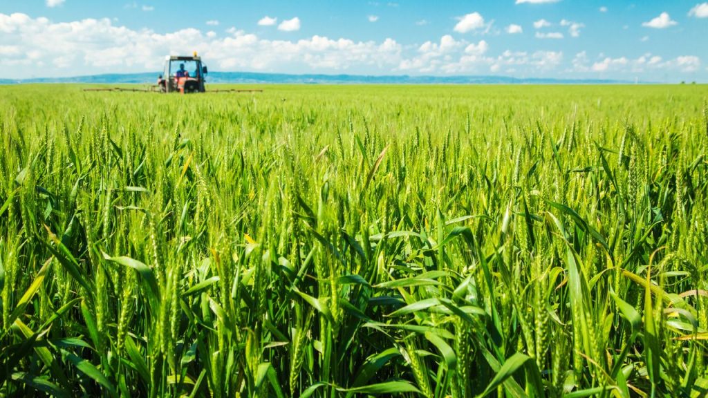 मौसम विभाग द्वारा जारी चेतावनी किसानों के लिए बहुत अहम होती है. मोबाइल अलर्ट, रेडियो या स्थानीय कृषि अधिकारी से जानकारी लेकर समय रहते तैयारी करें, ताकि फसल को कम से कम नुकसान हो.