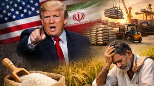 ट्रंप के टैरिफ से मचा बवाल! ईरान की अस्थिरता से डगमगाया भारतीय चावल कारोबार, किसान-एक्सपोर्टर परेशान