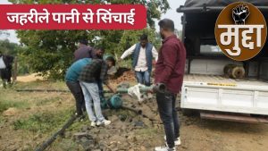 जानलेवा सब्जियां! गंदे नाले से फसल सिंचाई का मामला हाईकोर्ट पहुंचा, सरकार से मांगी रिपोर्ट