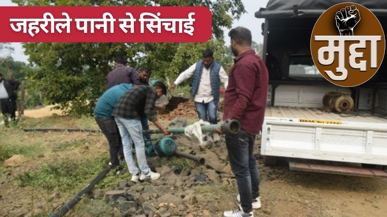 जानलेवा सब्जियां! गंदे नाले से फसल सिंचाई का मामला हाईकोर्ट पहुंचा, सरकार से मांगी रिपोर्ट