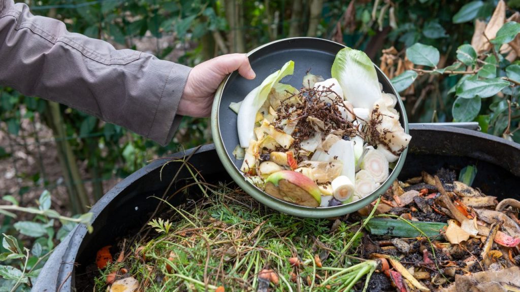 सब्जियों के छिलके, फल के अवशेष, चाय-पत्ती, कॉफी पाउडर और अंडे के छिलकों को मिट्टी के साथ मिलाकर 30-40 दिन में पौष्टिक खाद तैयार की जा सकती है. यह पौधों की जड़ें मजबूत करती है और उत्पादन बढ़ाती है.