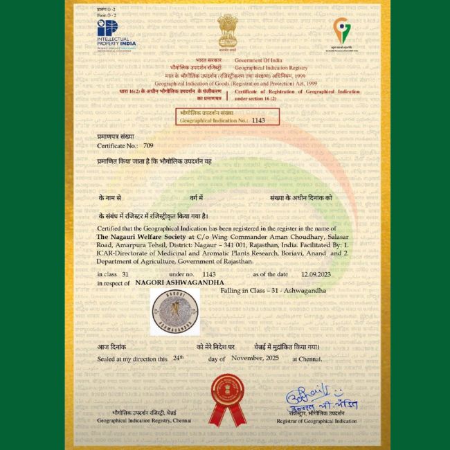 Nagauri Ashwagandha GI Tag