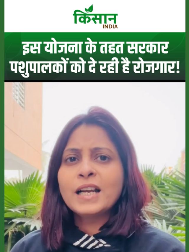 रोजगार की नई राह, पशुपालन बना लाखों ग्रामीण परिवारों की कमाई का सहारा