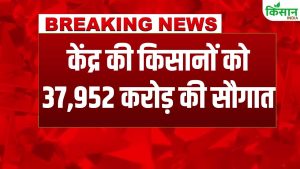 मोदी सरकार की किसानों को बड़ी राहत, खाद सब्सिडी में 37,952 करोड़ की मंजूरी, DAP और यूरिया सस्ते रहेंगे