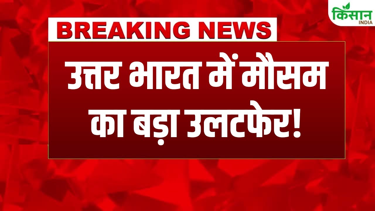 Next 24 To 48 Hours Crucial With Weather Changing From Mountains Plains Imd Issued An Alert